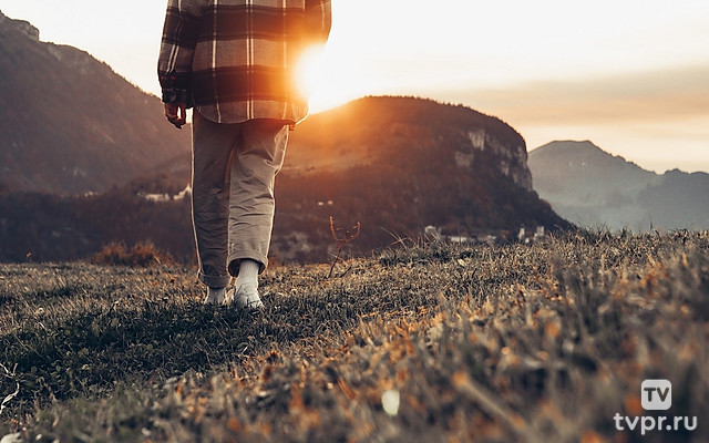 Новогодний спецпроект «Год Лошади»