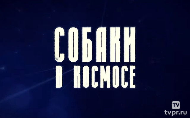 Собаки в космосе