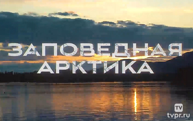 Заповедная Арктика. Путевые заметки из Кандалакшского заповедника