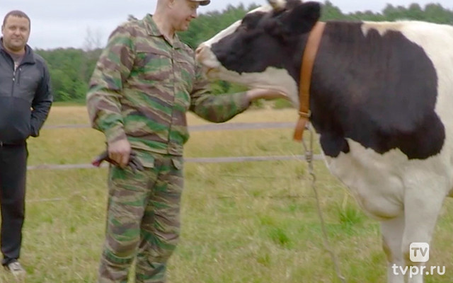 О животных и не только