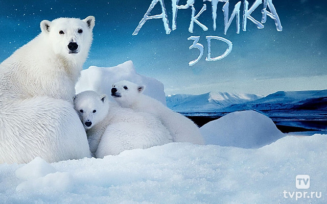 Арктика 3D