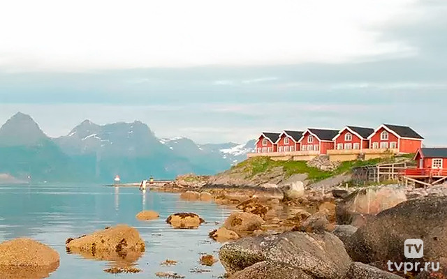 Удачная рыбалка