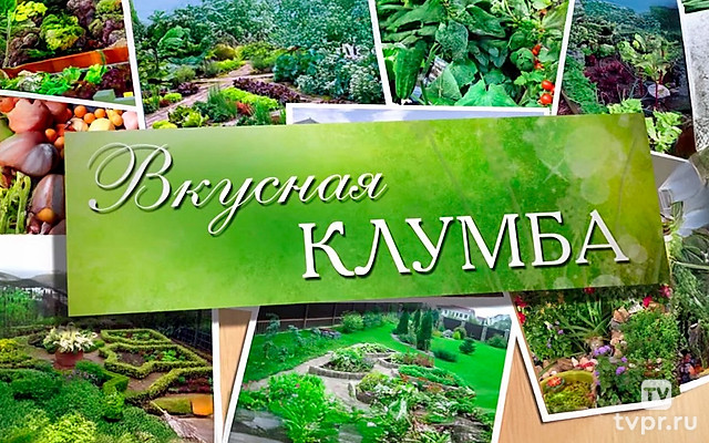 Вкусная клумба