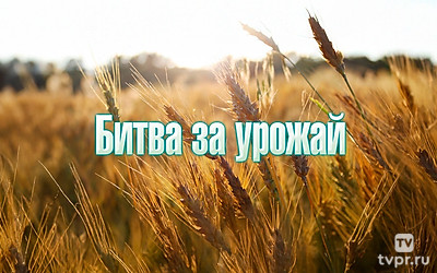 Битва за урожай