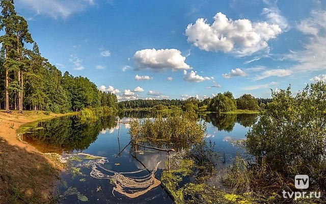 Ленинградская область