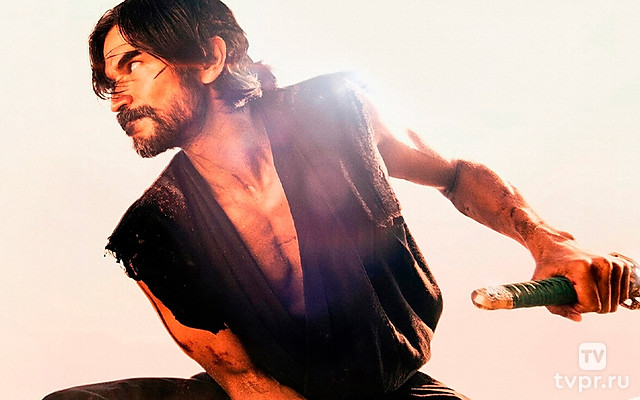 Одинокий самурай