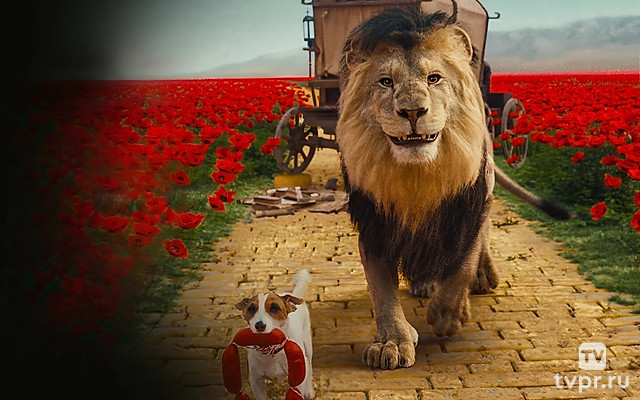 Сон Царя зверей