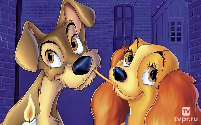 Леди и Бродяга