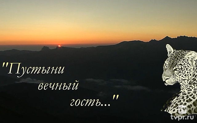 Пустыни вечный гость