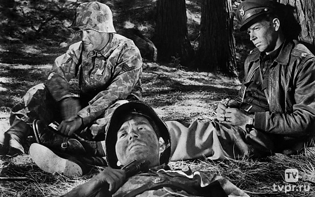 Страх и вожделение