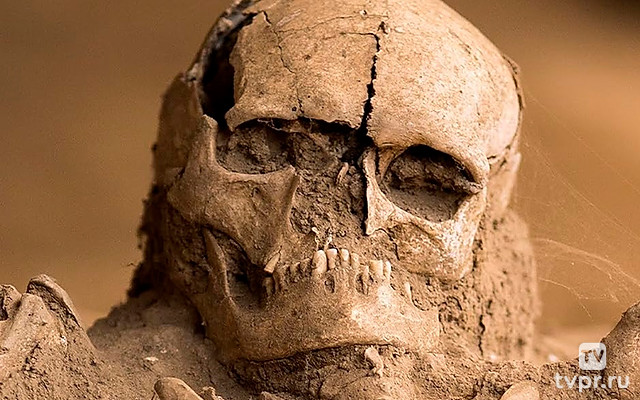 Тайны в песках