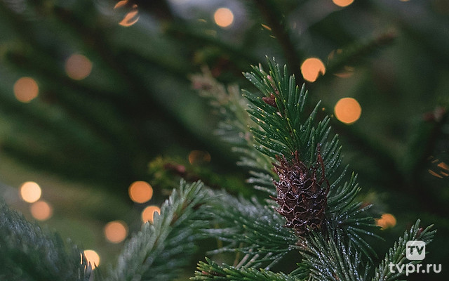 Русское Рождество 2020