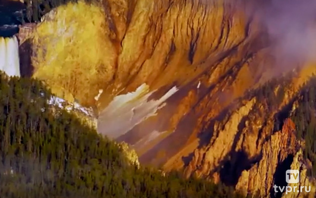 Пресноводная стихия и ее обитатели