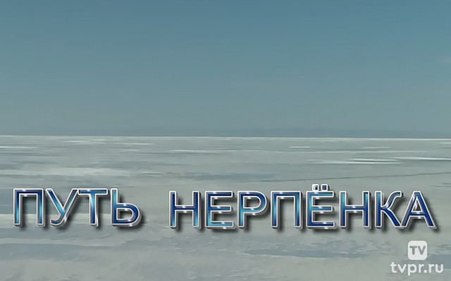 Путь нерпёнка