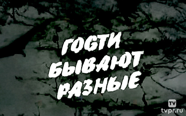 Гости бывают разные