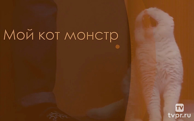 Мой кот — монстр
