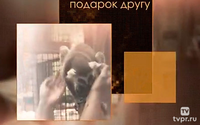Подарок другу