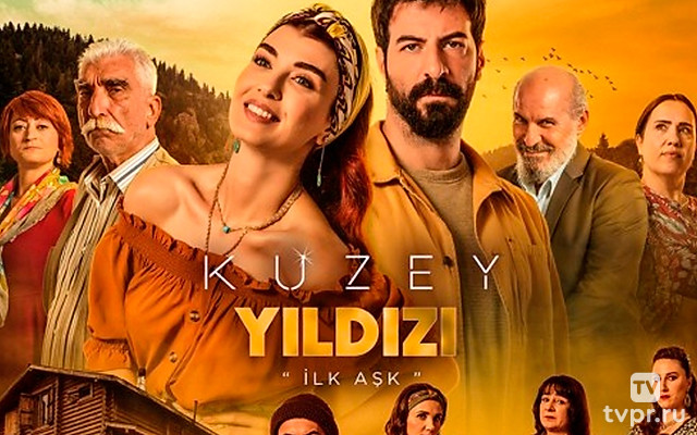 Полярная звезда