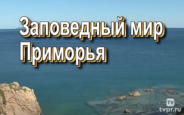 Заповедный мир Приморья