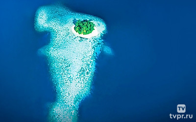 Тайны Тихого океана