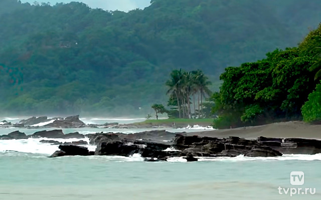 Приключения в джунглях Коста-Рики