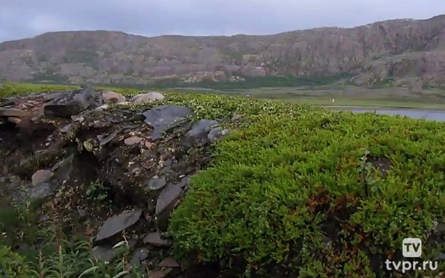 Чёрный мох Муста-Тунтури