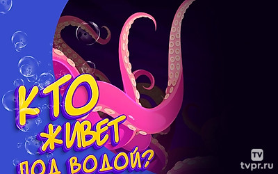 Кто живет под водой
