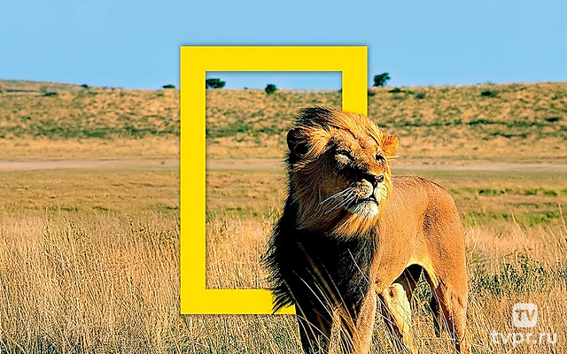 Южная Африка