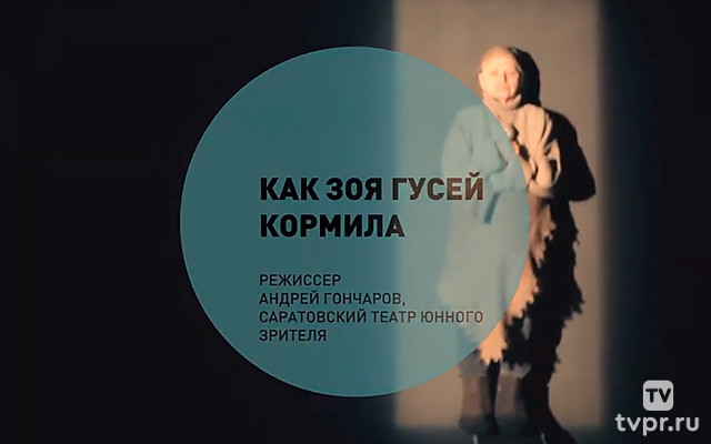 Как Зоя гусей кормила