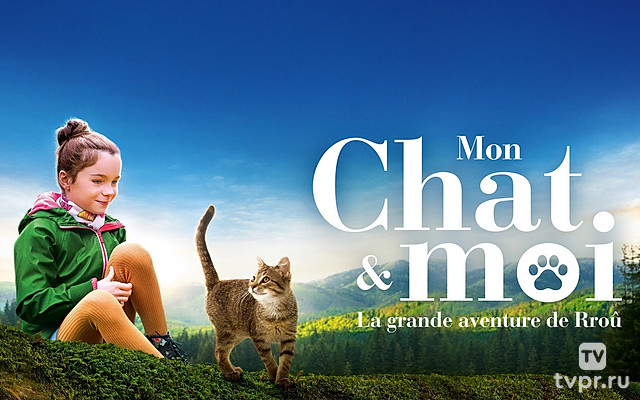 Мой котик и я