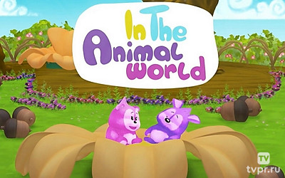 В мире животных
