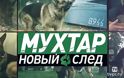 Мухтар. Новый след
