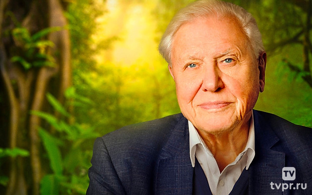 Дэвид Аттенборо: Жизнь на нашей планете