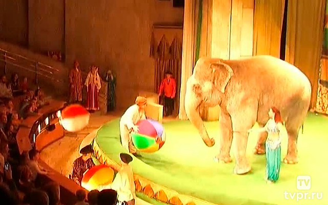 Театр зверей