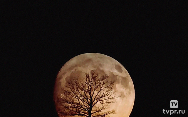 Повесть непогашенной луны