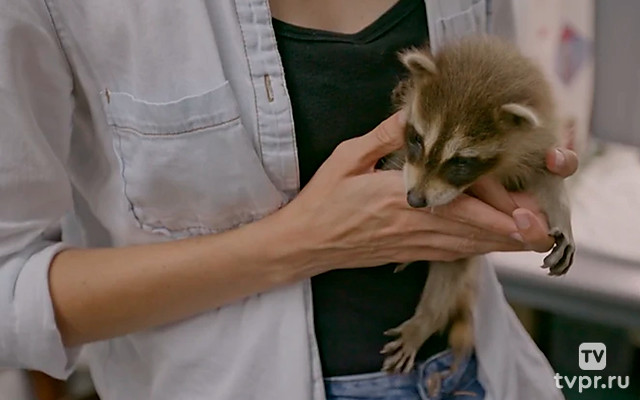 Дом дикой природы Пажо