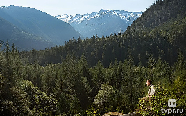 Проект «Таинственная гора»