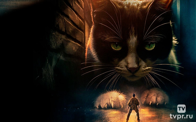 Дорогая, я уменьшаюсь