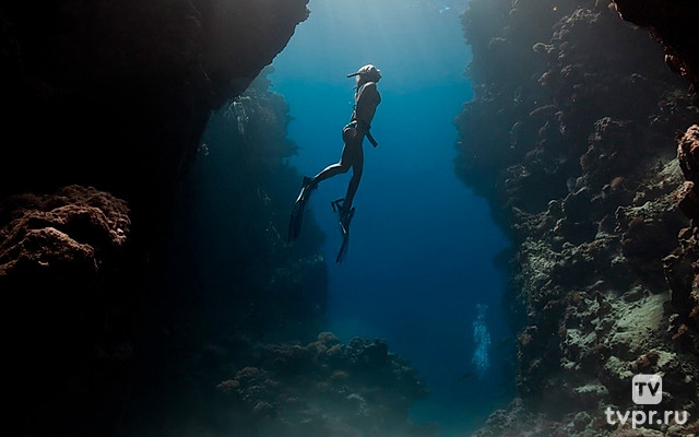 Исследователи. Приключения века