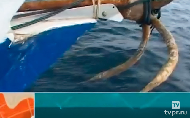 Мальдивы – жемчужины Индийского океана