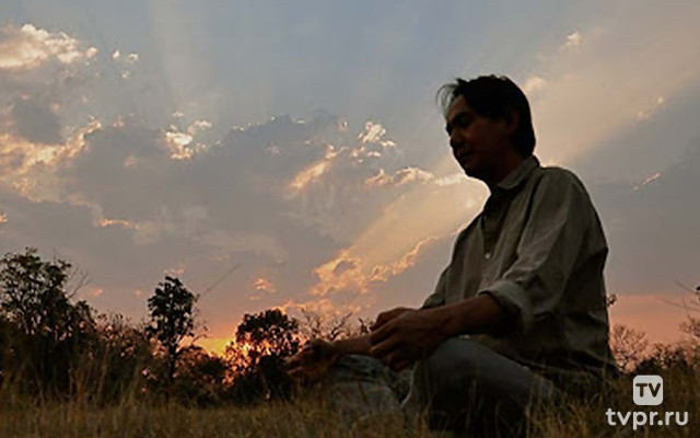 Ковчег Норина