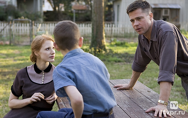 Древо жизни