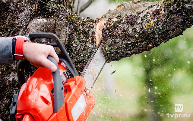 Чемпионат мира по Тимберспорту. Индивидуальный зачёт