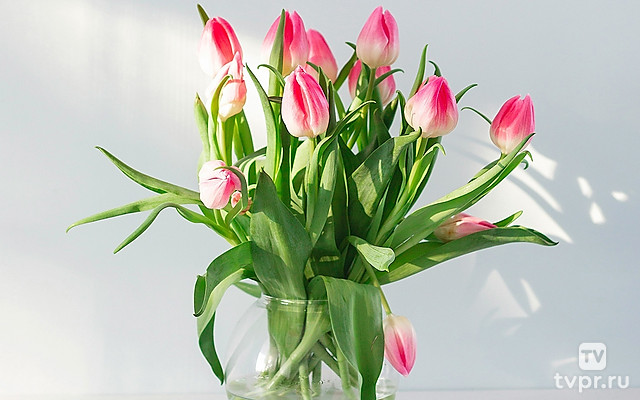 «От «Сибири» с любовью». Концерт-поздравление к 8 марта