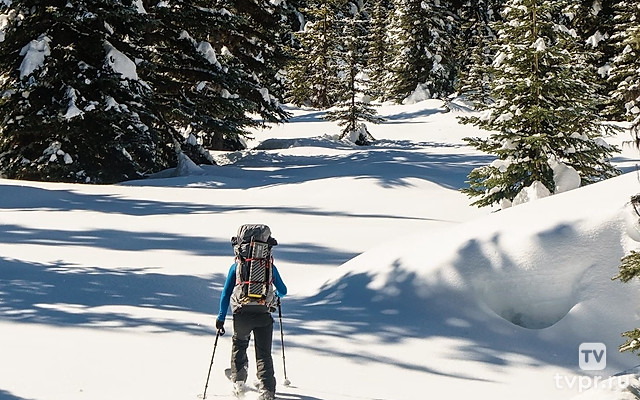 Ски-альпинизм. Чемпионат Европы. Спринт. Трансляция из Азербайджана