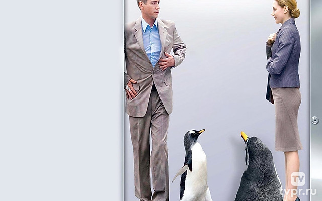 Любовь под прикрытием