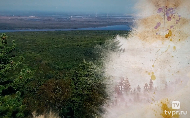 Тайны Большехехцирского заповедника