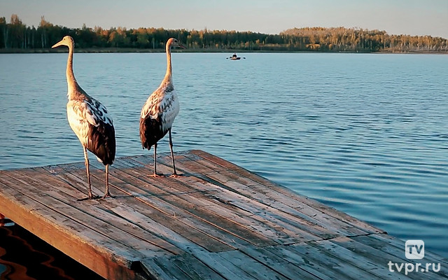 Тайны Хинганского заповедника