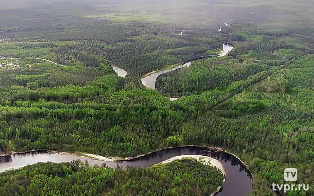 Тайны Керженского заповедника