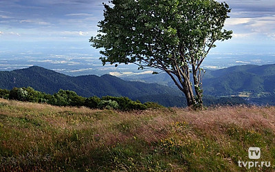 Милая Франция